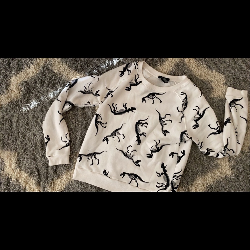 Dinosaur sweater